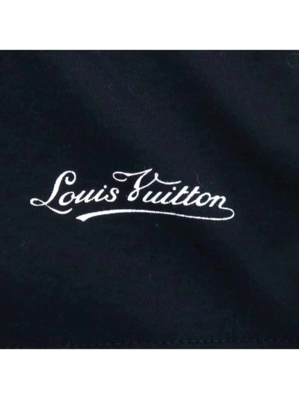 Louis Vuitton brand louis